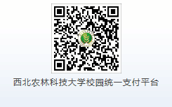 1777b49e0cc645e393ba36ff924cee45.png 1.png